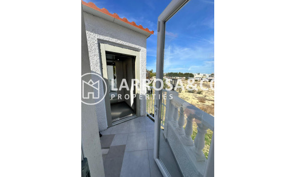 Long Term Rentals - Business - Ciudad Quesada - Lo pepin