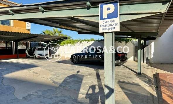 Long Term Rentals - Business - Ciudad Quesada - Lo pepin