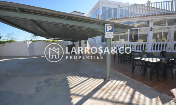 Long Term Rentals - Business - Ciudad Quesada - Lo pepin