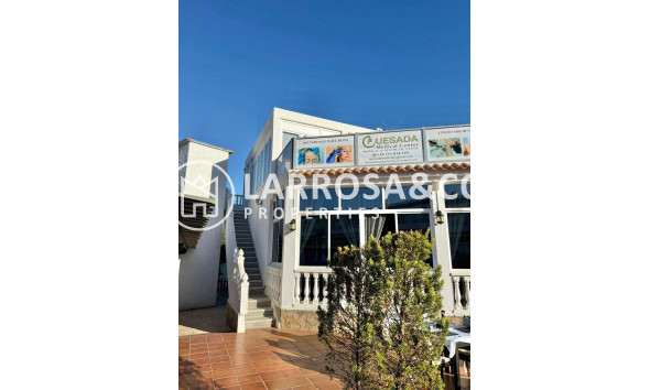 Long Term Rentals - Business - Ciudad Quesada - Lo pepin