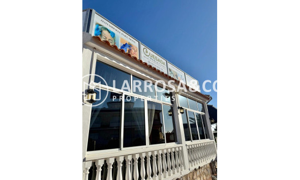 Long Term Rentals - Business - Ciudad Quesada - Lo pepin