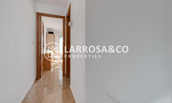 Reventa - Adosado - Torrevieja - El limonar