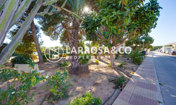 Reventa - Adosado - Torrevieja - El limonar