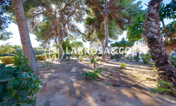 Reventa - Adosado - Torrevieja - El limonar