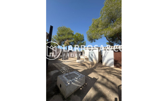 Resale - Bungalow - San Miguel de Salinas - BLUE LAGOON