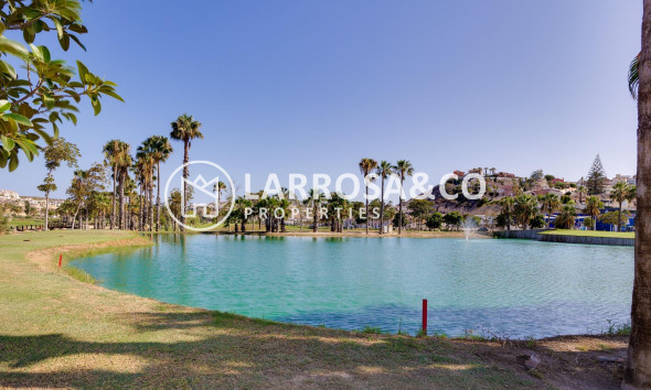 A Vendre - Commercial space - Ciudad Quesada - DOÑA PEPA