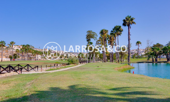 A Vendre - Commercial space - Ciudad Quesada - DOÑA PEPA