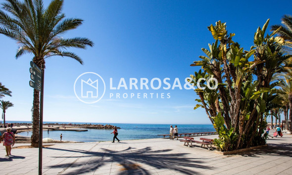 Resale - Apartment - Torrevieja - Centro