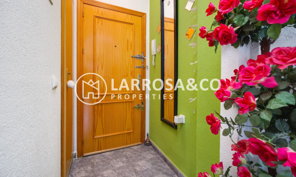 Resale - Apartment - Torrevieja - Playa del cura