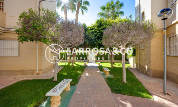 Resale - Ground floor apartment - Torrevieja - Los Locos Beach