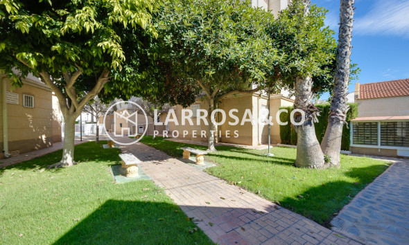 Resale - Ground floor apartment - Torrevieja - Los Locos Beach