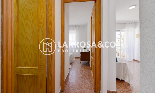 Resale - Ground floor apartment - Torrevieja - Los Locos Beach