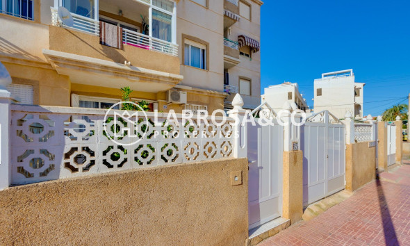 Resale - Ground floor apartment - Torrevieja - Los Locos Beach