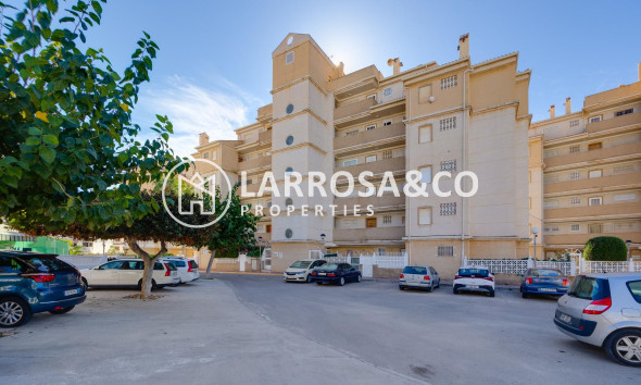 Resale - Ground floor apartment - Torrevieja - Los Locos Beach