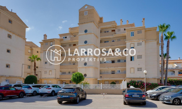 Resale - Ground floor apartment - Torrevieja - Los Locos Beach