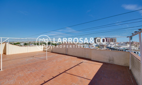 Resale - Ground floor apartment - Torrevieja - Los Locos Beach