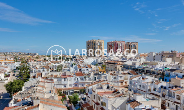 Resale - Ground floor apartment - Torrevieja - Los Locos Beach