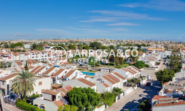 Resale - Ground floor apartment - Torrevieja - Los Locos Beach
