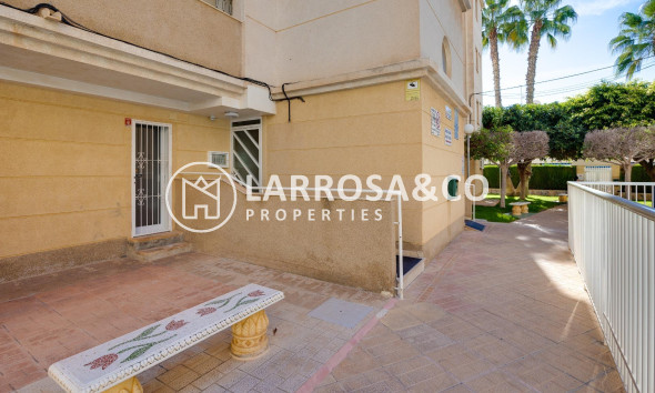 Resale - Ground floor apartment - Torrevieja - Los Locos Beach