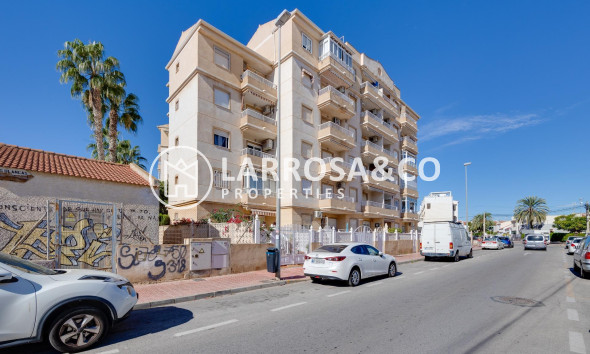 Resale - Ground floor apartment - Torrevieja - Los Locos Beach