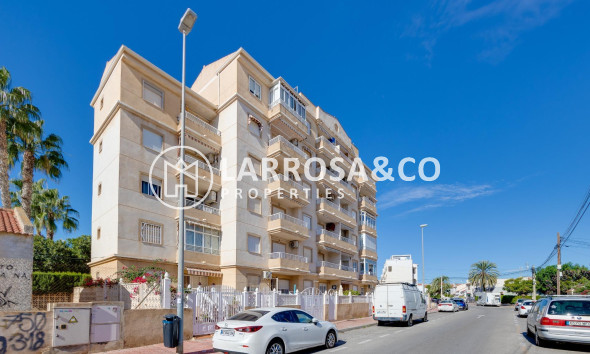 Resale - Ground floor apartment - Torrevieja - Los Locos Beach