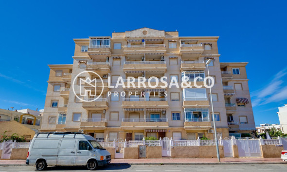 Resale - Ground floor apartment - Torrevieja - Los Locos Beach