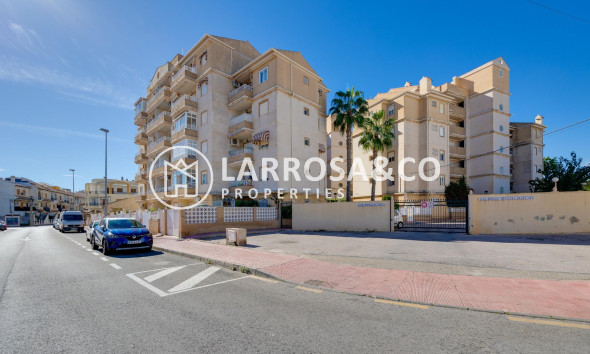 Resale - Ground floor apartment - Torrevieja - Los Locos Beach