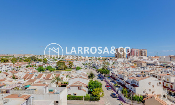 Resale - Ground floor apartment - Torrevieja - Los Locos Beach