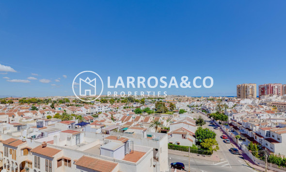 Resale - Ground floor apartment - Torrevieja - Los Locos Beach