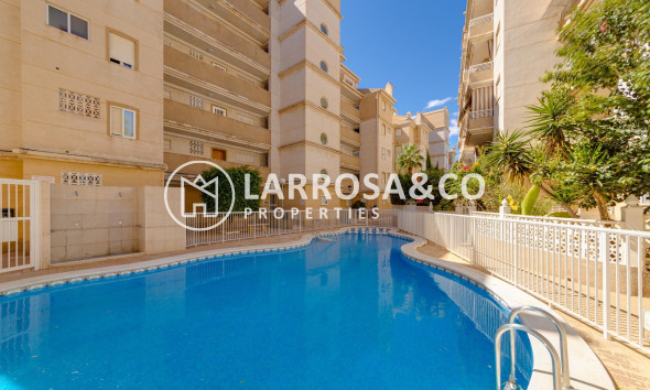 Resale - Ground floor apartment - Torrevieja - Los Locos Beach