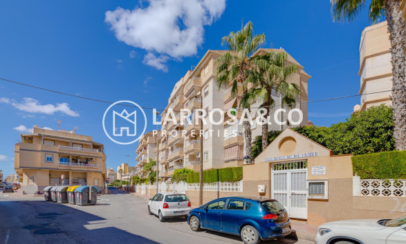 Resale - Ground floor apartment - Torrevieja - Los Locos Beach