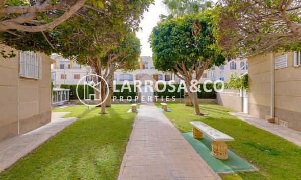 Resale - Ground floor apartment - Torrevieja - Los Locos Beach