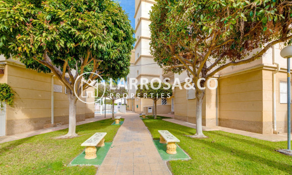Resale - Ground floor apartment - Torrevieja - Los Locos Beach