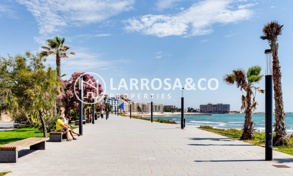 Resale - Ground floor apartment - Torrevieja - Los Locos Beach