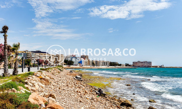 Resale - Ground floor apartment - Torrevieja - Los Locos Beach