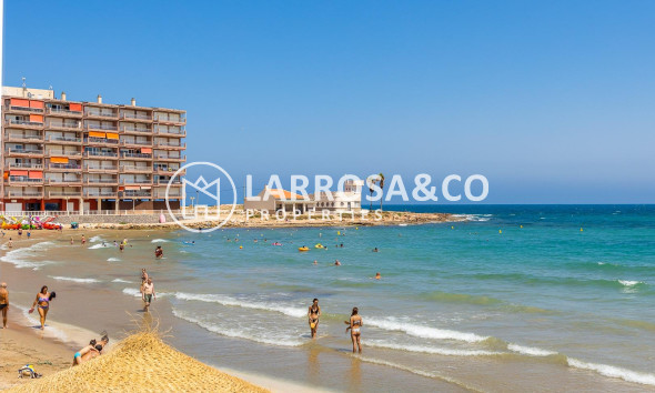 Resale - Ground floor apartment - Torrevieja - Los Locos Beach