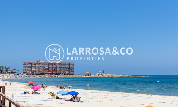 Resale - Ground floor apartment - Torrevieja - Los Locos Beach