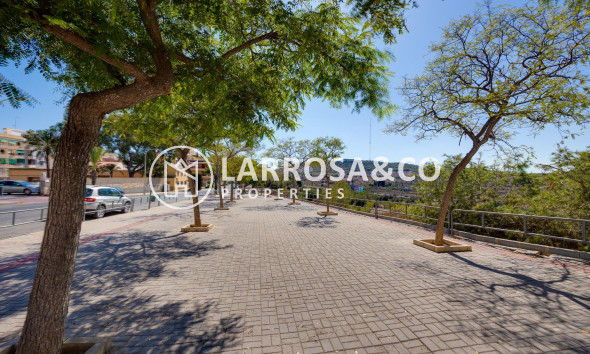 Resale - Apartment - Guardamar del Segura - Pueblo