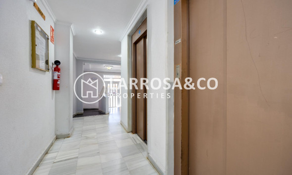 Resale - Apartment - Guardamar del Segura - Pueblo