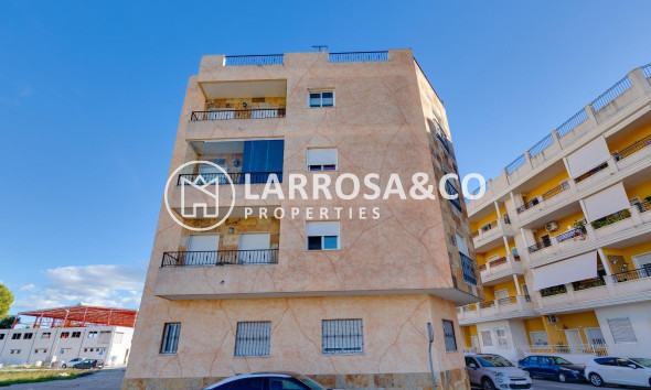 A Vendre - Penthouse  - Almoradí - Parque de la u