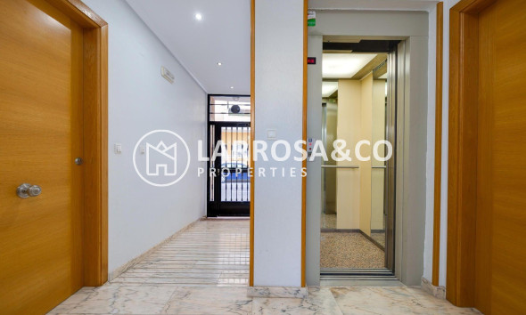 A Vendre - Penthouse  - Almoradí - Parque de la u