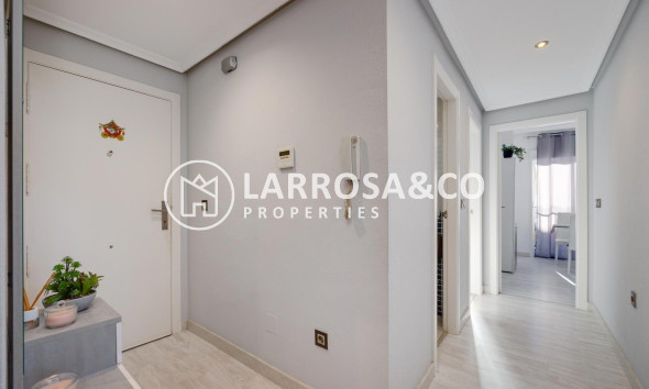 A Vendre - Penthouse  - Almoradí - Parque de la u