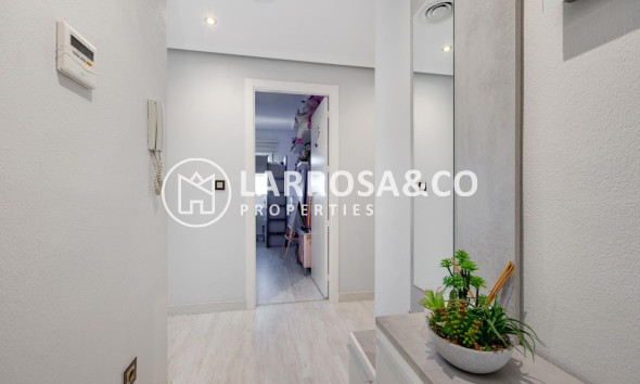 A Vendre - Penthouse  - Almoradí - Parque de la u