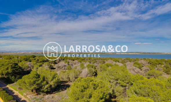 Resale - Apartment - Torrevieja - La Siesta - El Salado - Torreta