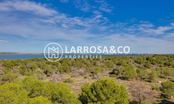 Resale - Apartment - Torrevieja - La Siesta - El Salado - Torreta