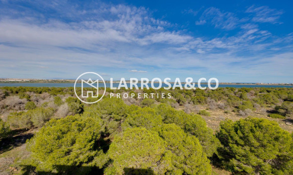 Resale - Apartment - Torrevieja - La Siesta - El Salado - Torreta