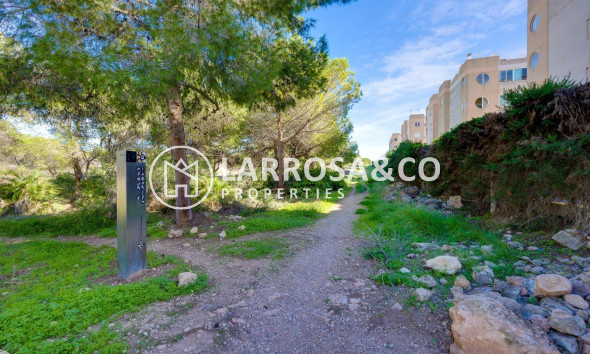 Resale - Apartment - Torrevieja - La Siesta - El Salado - Torreta