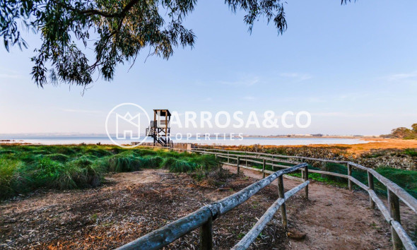 Resale - Apartment - Torrevieja - La Siesta - El Salado - Torreta