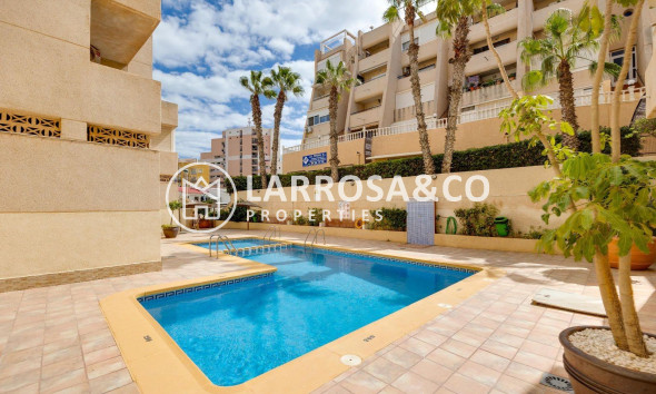 Resale - Apartment - Torrevieja - Cabo cervera