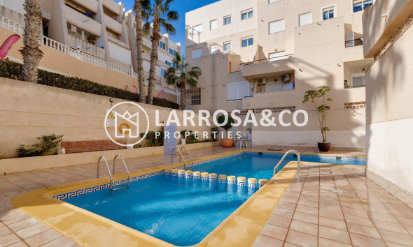Resale - Apartment - Torrevieja - Cabo cervera